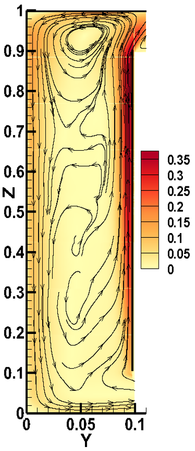 Natural Convection PIV
