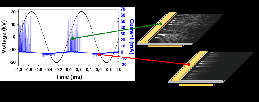 Plasma Fluid Simulation on Electrohydrodynamic Effect of,Surface Dielectric Barrier Discharge Aiming for Flow Control Applications