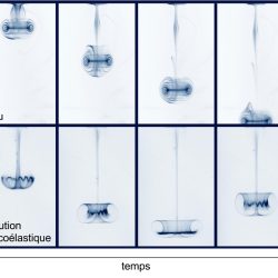 Séminaire FTC : Des anneaux tourbillonnaires qui font du yoyo – Julie Albagnac