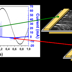 Plasma Fluid Simulation on Electrohydrodynamic Effect of,Surface Dielectric Barrier Discharge Aiming for Flow Control Applications
