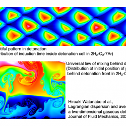 Chemical and hydrodynamic structure of cellular gaseous detonation