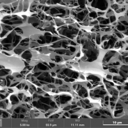 Microstructure and rheology of complex fluids