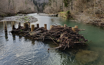 From Sediment Declogging to Microplastic Deposition: Understanding the Influence of Wood in River Restoration