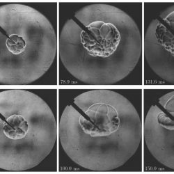 Hydrogen flame behavior in constant volume bomb at sub-zero temperature Hydrogen flame behavior in constant volume bomb at sub-zero temperature