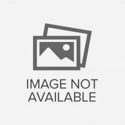 Demonstrations of Nonlinear Oscillations